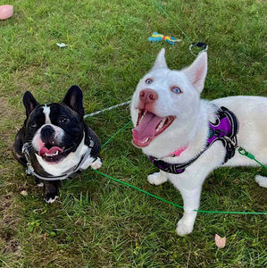 Meet your Posher, Trinity